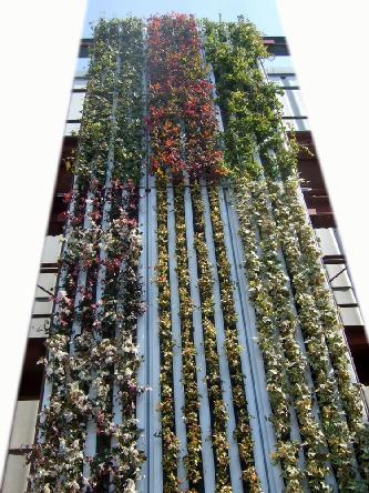 「パネル一体型壁面緑化」の施工例（写真：ノザワ）