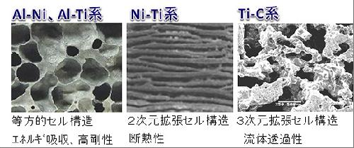 素材種による気孔形状の違い（写真：NEDO）