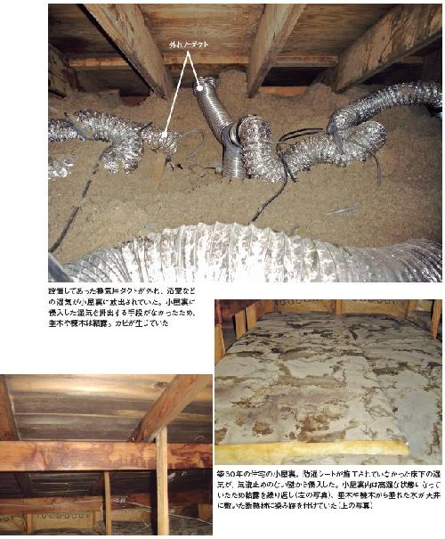 小屋裏内にたまった湿気の影響で、垂木や野地板に結露やカビが生じていた事例（写真：住環境アルテ）